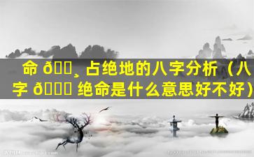 命 🕸 占绝地的八字分析（八字 🍁 绝命是什么意思好不好）